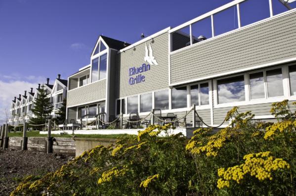 Bluefin Bay On Lake Superior Tofte Dış mekan fotoğraf